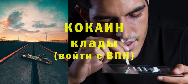гидра Богданович