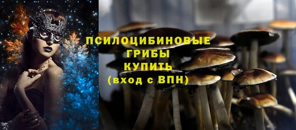 скорость Богородск